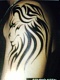eman888