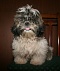 _BALDO_