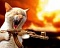 iTz_CrAzY_x