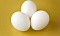 sacred_egg