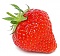 _Shortcake_