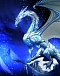 ULTI_DRAGON
